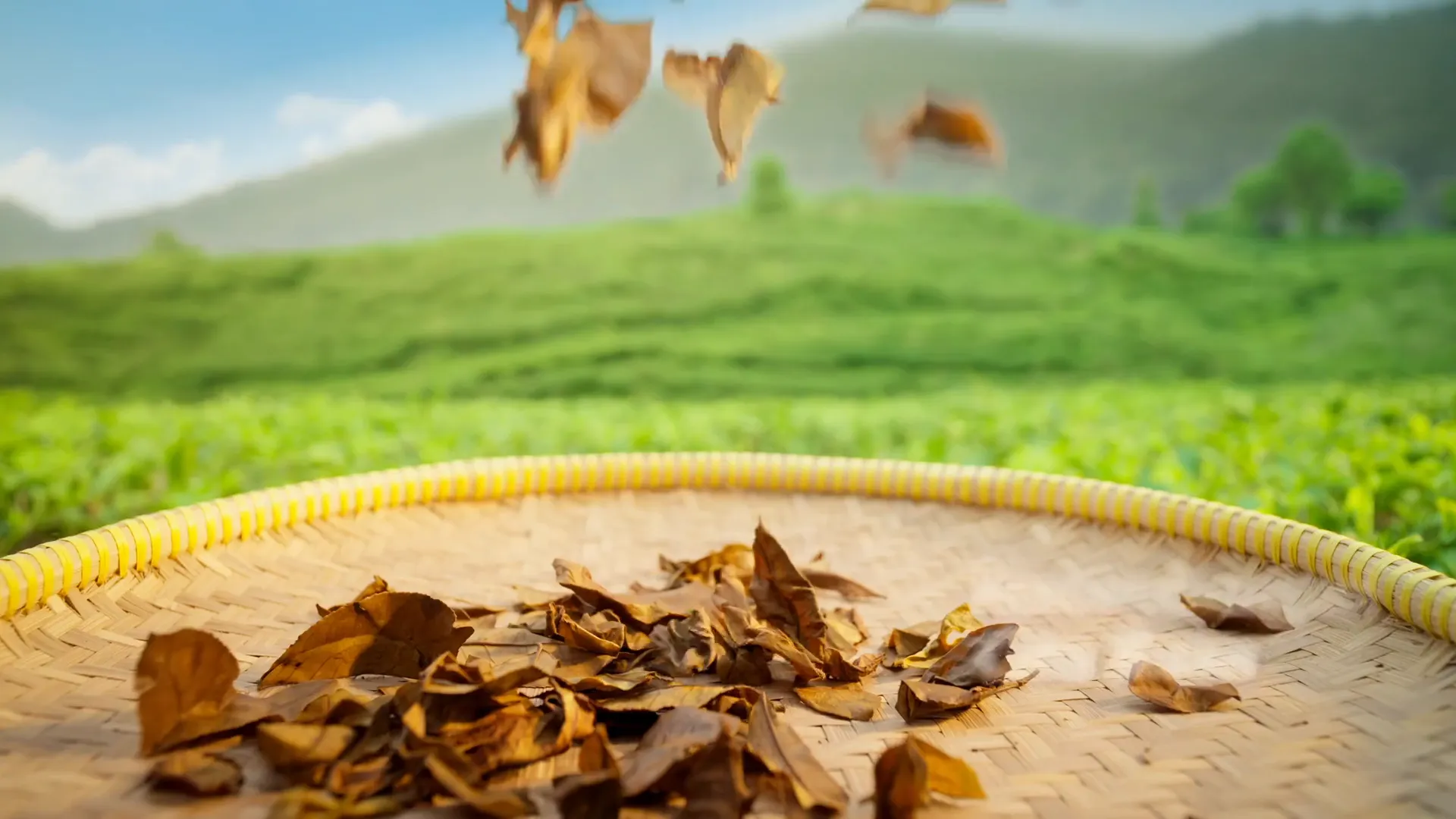 A frame from the Joy Tea Bukan Teh yang Sama brand film