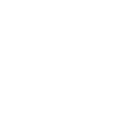 Frisian Flag